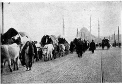 Birinci Balkan Savaşı sırasında Balkanlardan göçen muhacirler. İstanbul 1912
