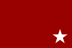 Esad Paşa'nın bayrağı