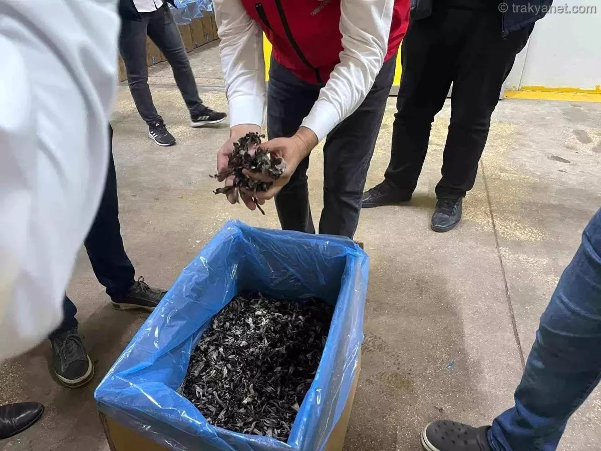 Τρούφες εξάγονται από το Τεκιρντάγκ