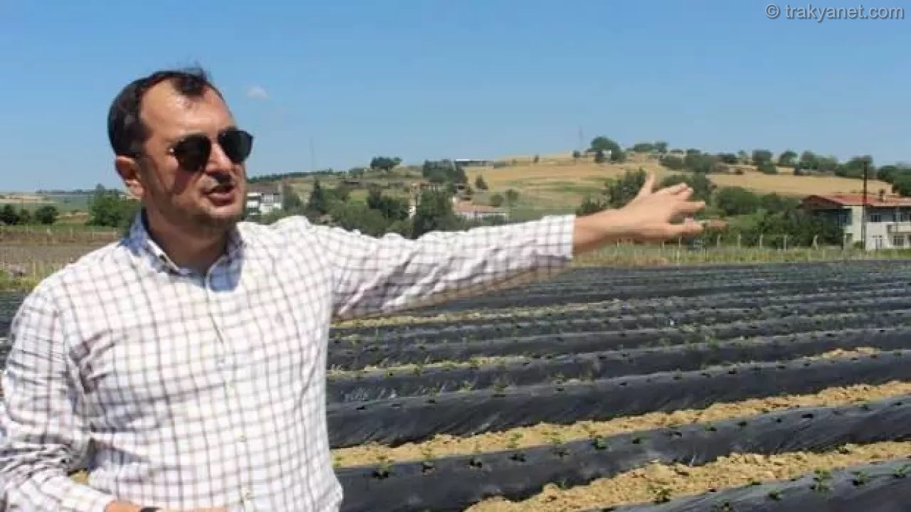 Great contribution to the city economy: The municipality produces everything from seeds to trees