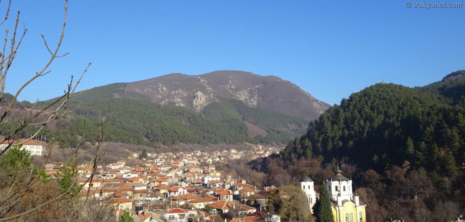 Mülüzler
