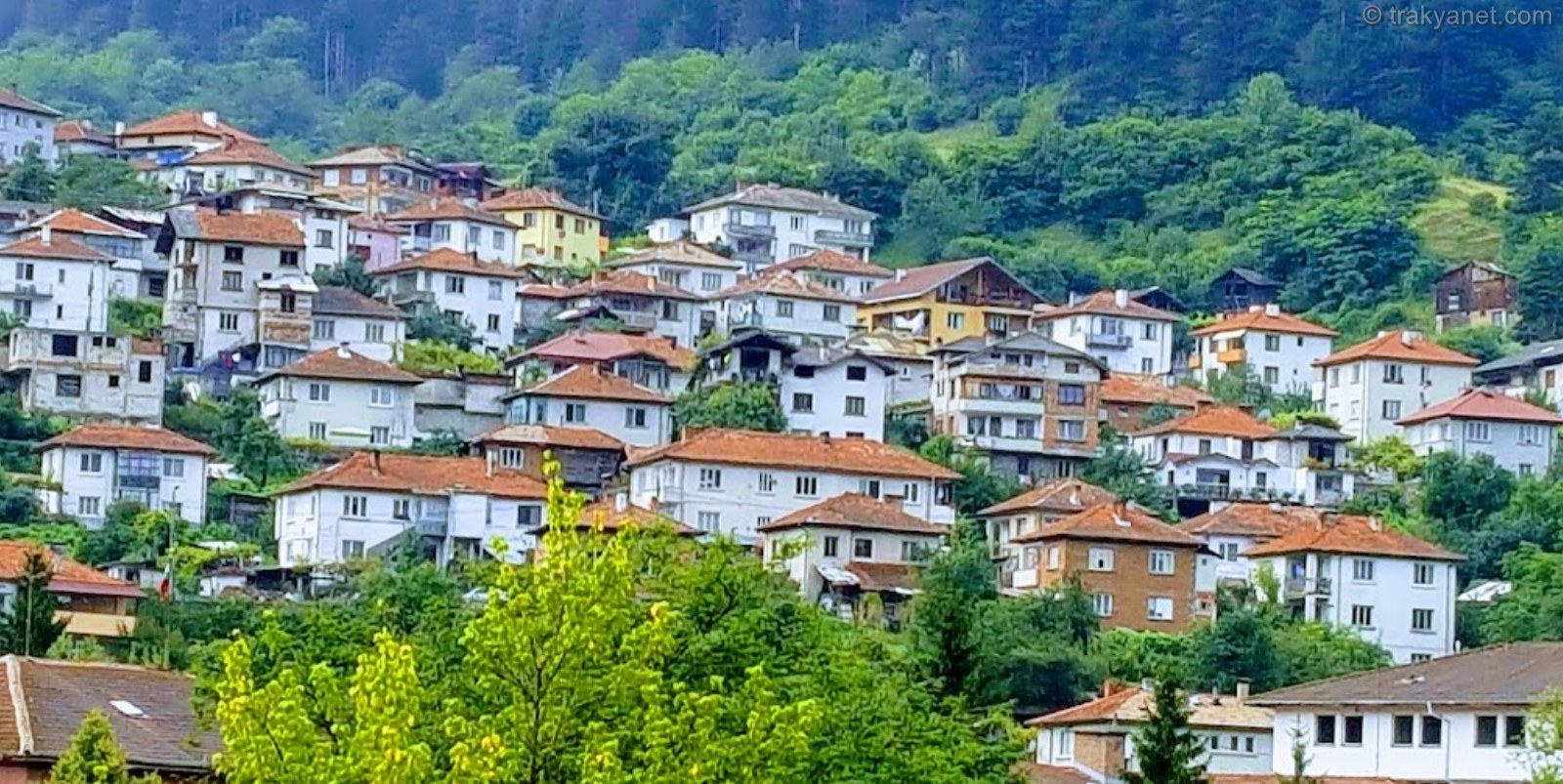 Dövlen Fotoğrafları Dövlen Fotoğrafları