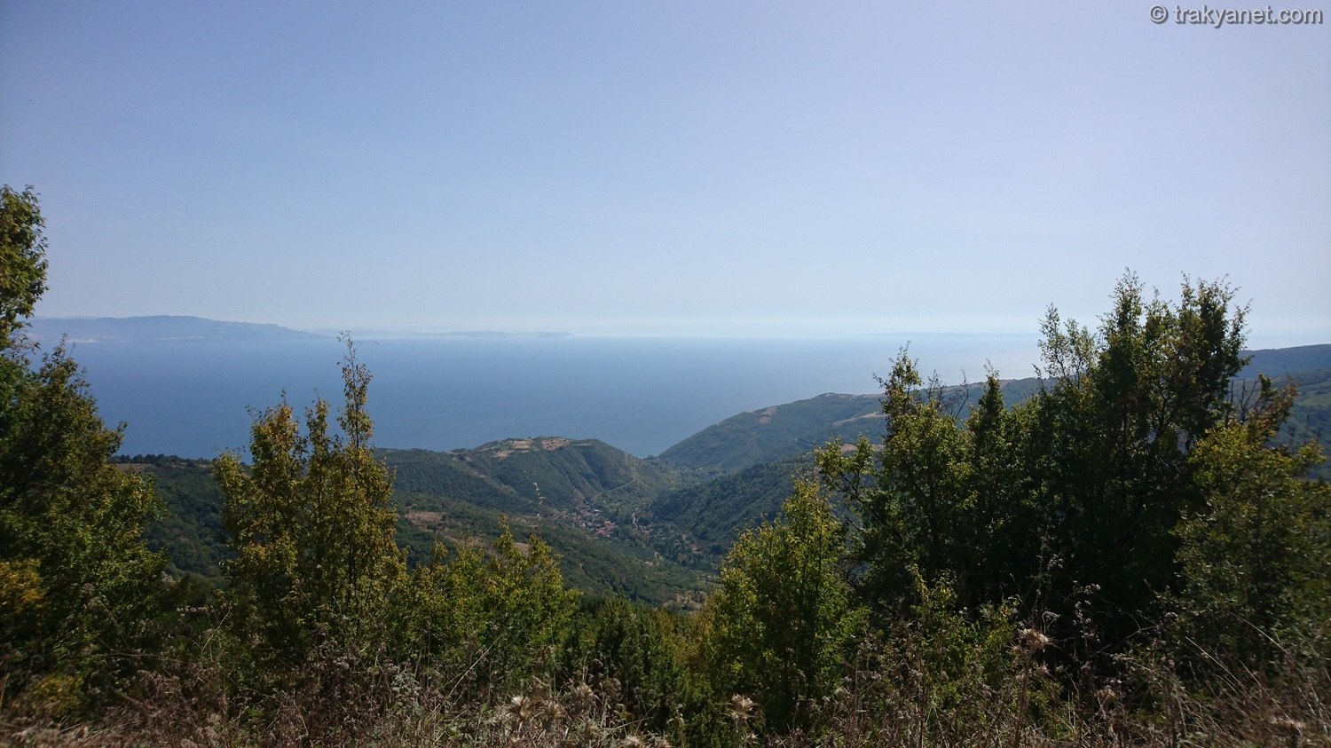 Vegetation of Tekirdag