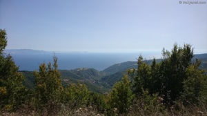 Vegetation of Tekirdag