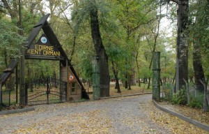 Edirne City Forest