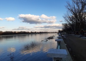 Edirne Şehir Ormanı