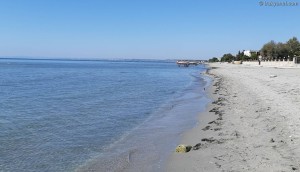 Marmaraereğlisi Atatürk Parkı Halk Plajı