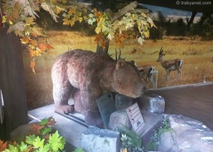 Hasan Ali Yucel Children's Museum